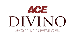 Ace-Divino